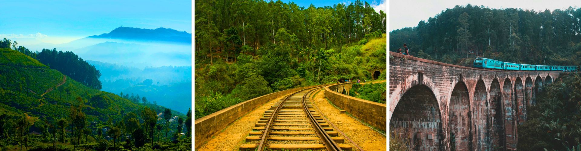 Sri Lanka Day 3 Sri Lanka Day 3